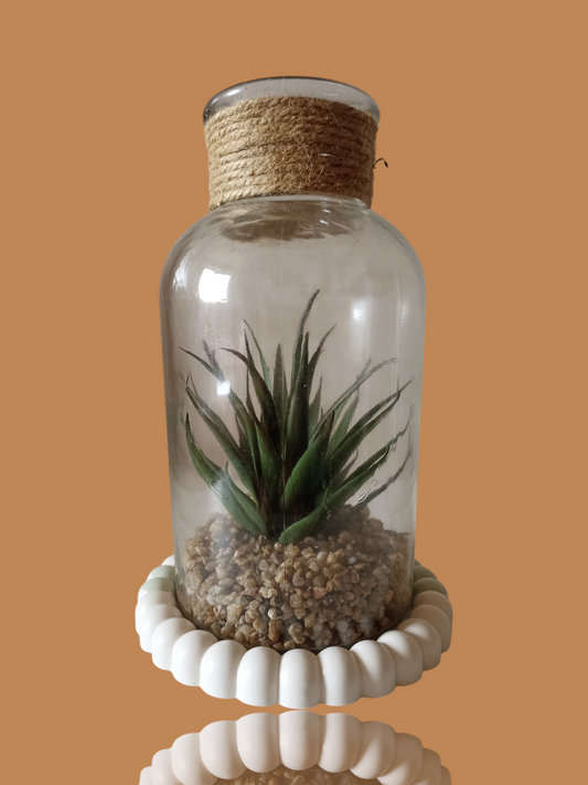 Disque motif coquillage - Effet gouttes vertes